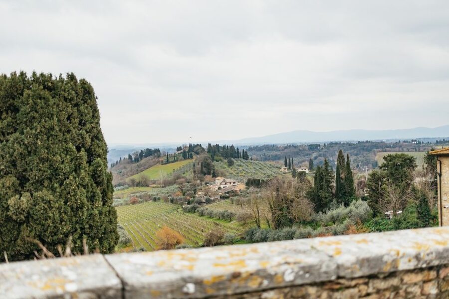 Florence: Pisa, Siena, San Gimignano, and Chianti Experience - Who this tour is best for, and who should look elsewhere