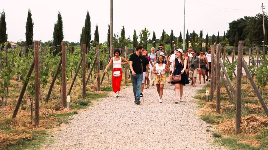 Florence: S. Gimignano, Siena, Chianti & Wine Tasting Lunch - Price and Value, How $89.50 Per Person Adds Up