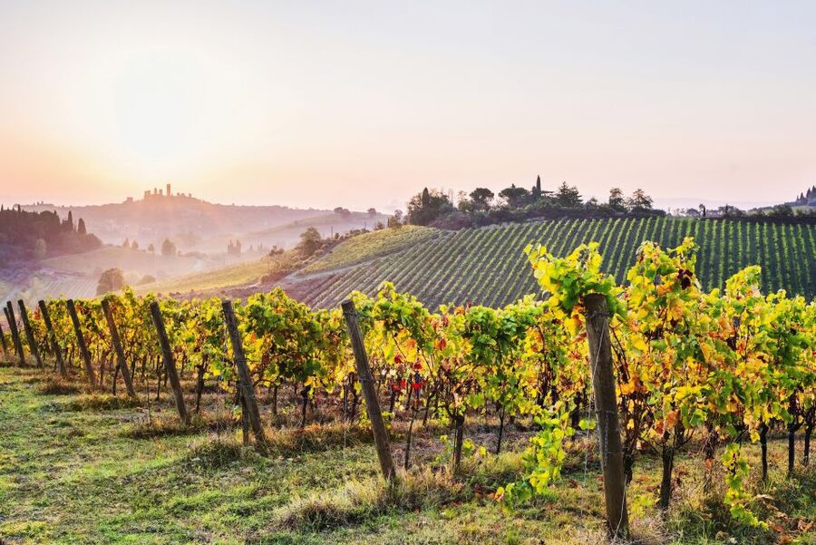 Florence: Siena & San Gimignano Day Trip with Lunch & Wine - The organic winery lunch stop in Chianti country