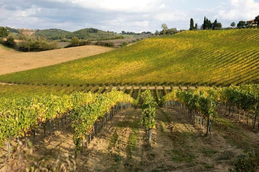 Florence: Siena & San Gimignano Day Trip with Lunch & Wine - Practical tips so your day goes smoothly