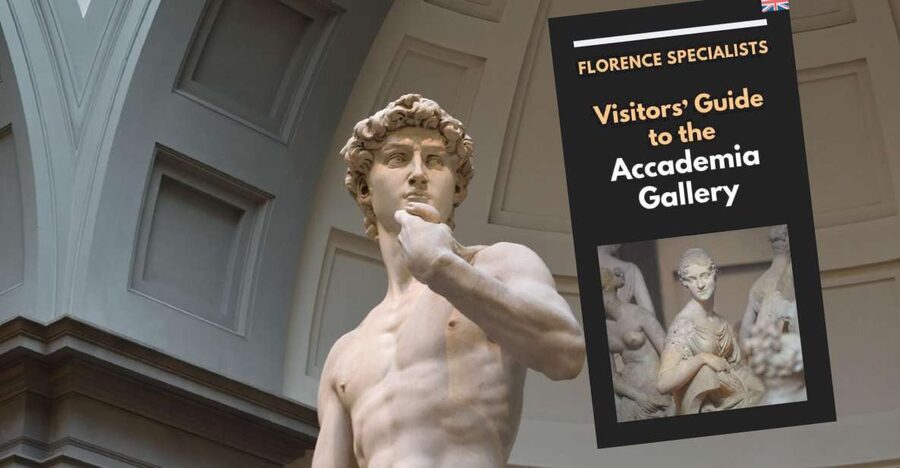Florence: Timed Entry Ticket to Michelangelo's David & eBook - Price and value: what you pay for, and what you get