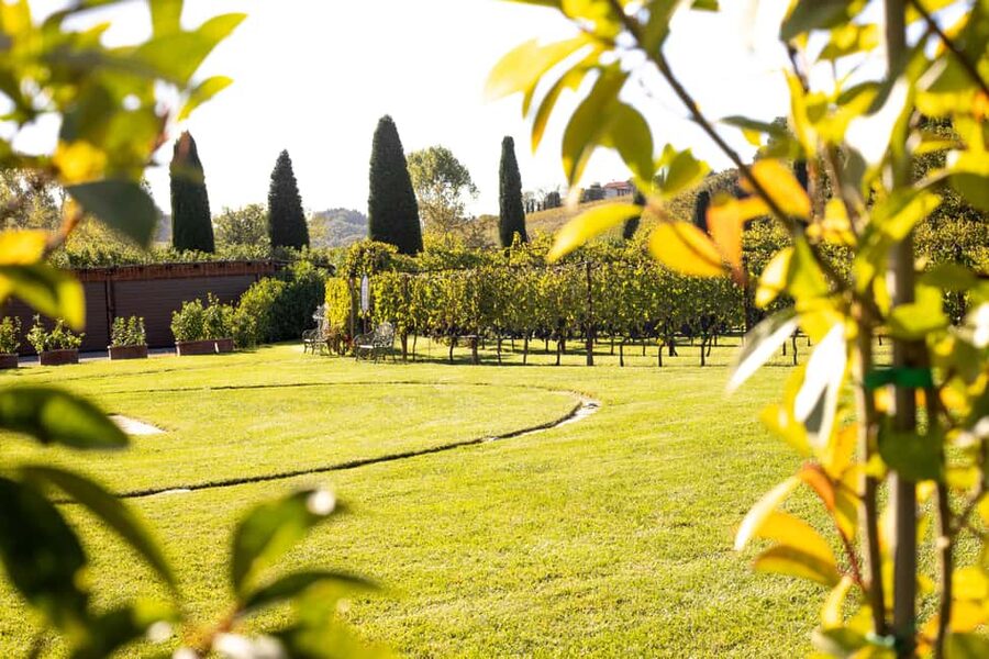 From Florence: Chianti Half-Day Afternoon Tour - A Half-Day Chianti Tour That Actually Fits a Florence Day