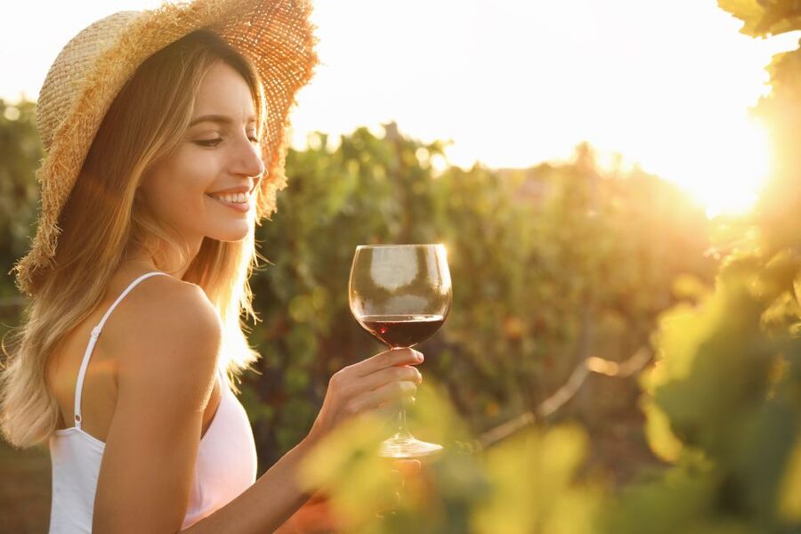 From Florence: Chianti Hills Half-Day Tour with Wine Tasting - The Tasting Room: 7 Wines, Plus Sparkling Toast and Vin Santo