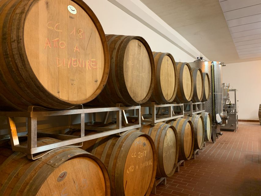From Florence: Chianti Hills Half-Day Tour with Wine Tasting - Timing, Short Town Stops, and the Half-Day Reality