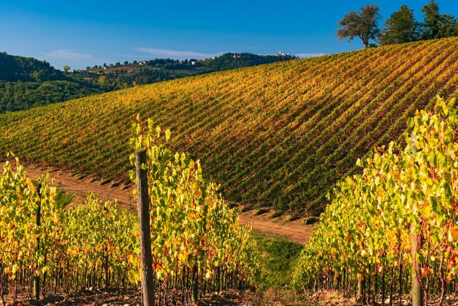 From Florence: Chianti Hills Half-Day Tour with Wine Tasting - Price and Value: Why $48 Can Make Sense for Chianti
