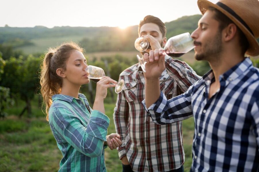 From Florence: Chianti Wine Tour with Tasting - The Food Pairings and Olive Oil Tasting That People Often Remember Most