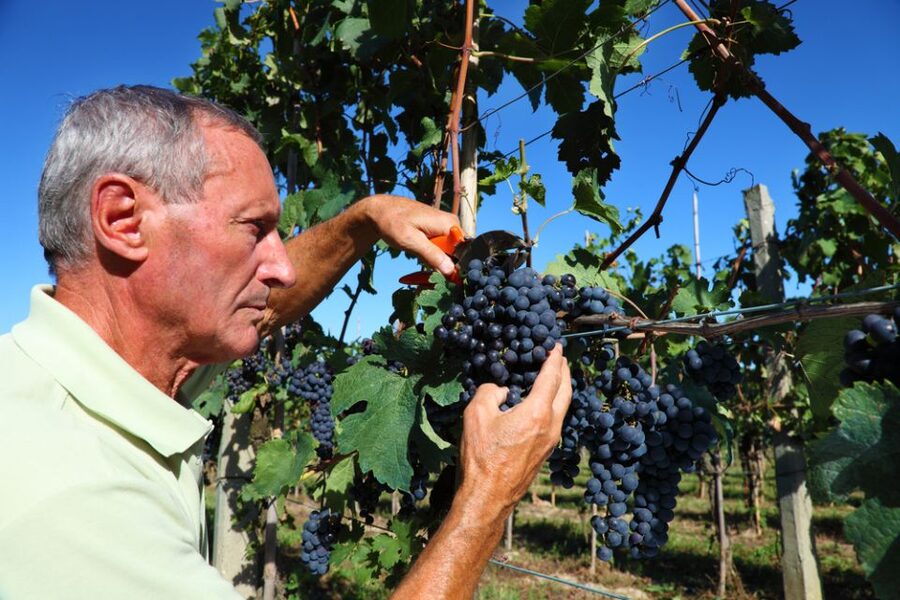 From Florence: Chianti Wine Tour with Tasting - How the Wine Tasting Feels in Real Life (and What to Expect)