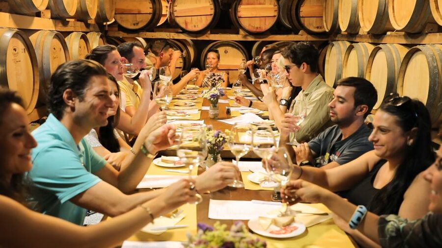 From Florence: Chianti Wine Tour with Tastings - The Sienese Chianti Classico drive: what to watch for on the hills