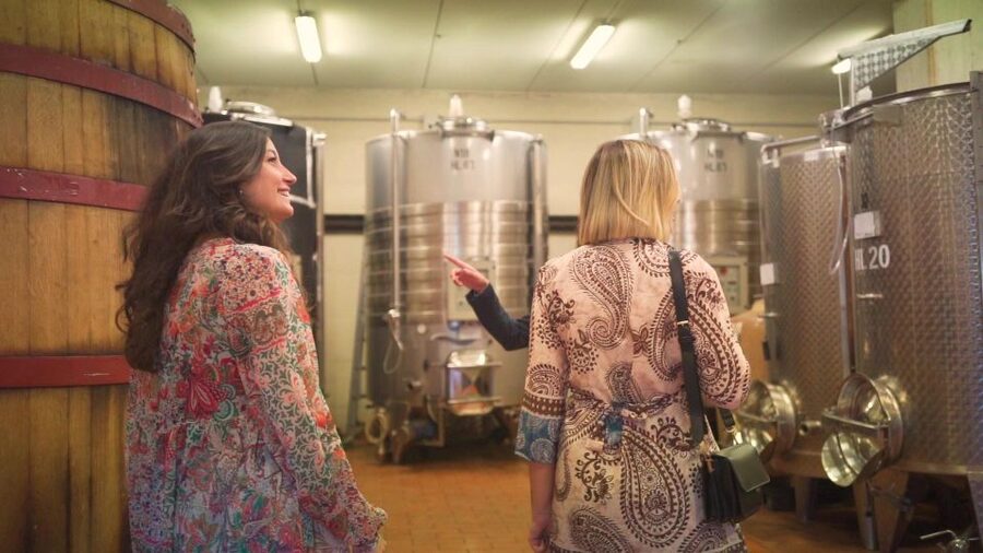 From Florence: Chianti Wine Tour with Tastings - Stop 2 at the family-run winery: vineyards, cellars, and an aromatic garden