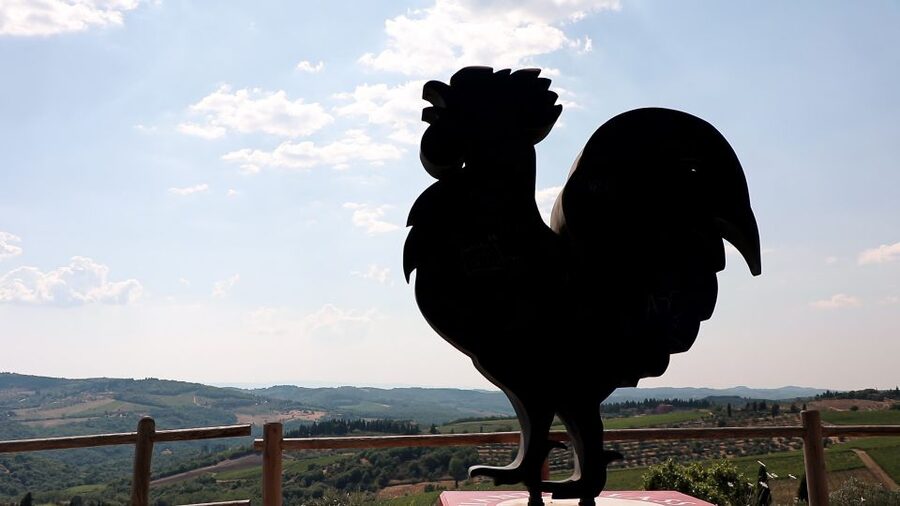 From Florence: Chianti Wine Tour with Tastings - Timing, walking, and what to pack for a comfy half-day