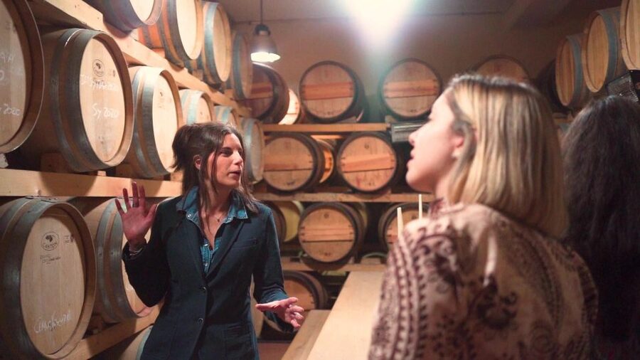 From Florence: Chianti Wine Tour with Tastings - Who this tour fits best (and who should choose differently)
