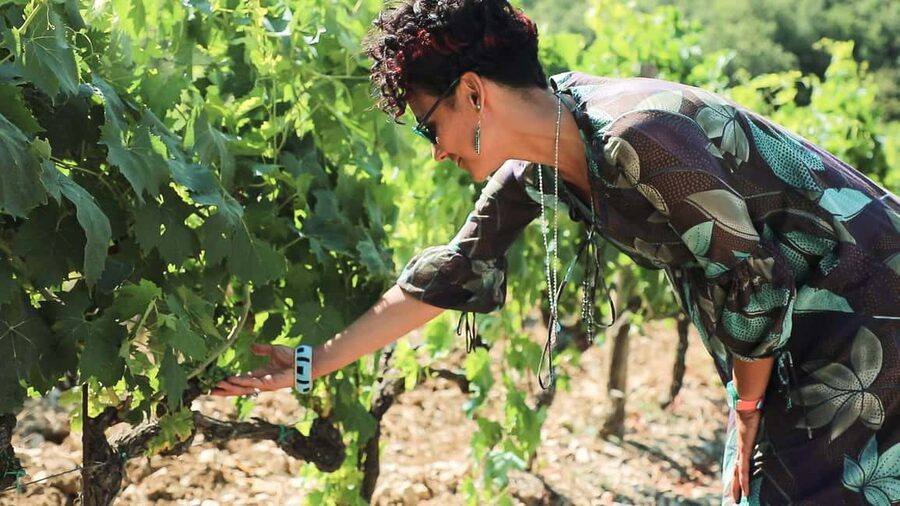 From Florence: Chianti Wine Tour with Tastings - Stop 1 in Florentine Chianti Classico: a small organic winery and an owner-led tasting