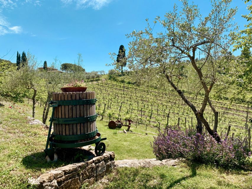 From Florence: Private Chianti Hills Tour with Tasting - Should you book this private Chianti hills tour from Florence?