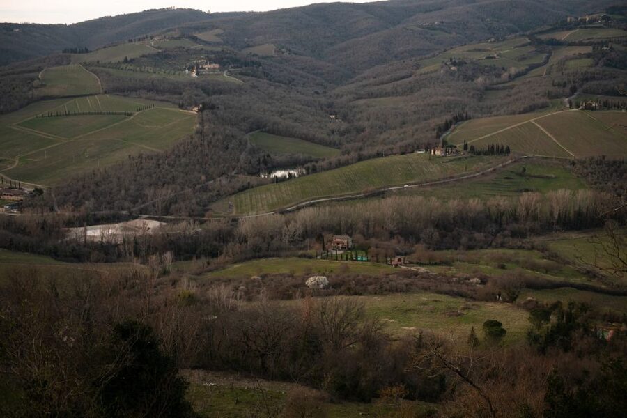 From Florence: Private Chianti Hills Tour with Tasting - The first tasting experience: three wines plus local bites