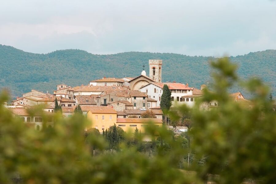 From Florence: Private Chianti Hills Tour with Tasting - Buying wine, oil, and typical products without the stress