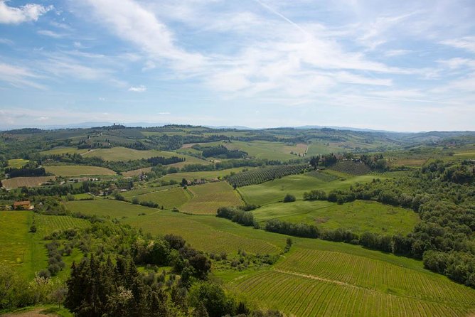 From Florence: Small-Group Tuscany Wine & Oil Tour with typical Tuscan Meal - Semi-private upgrade and small-group reality