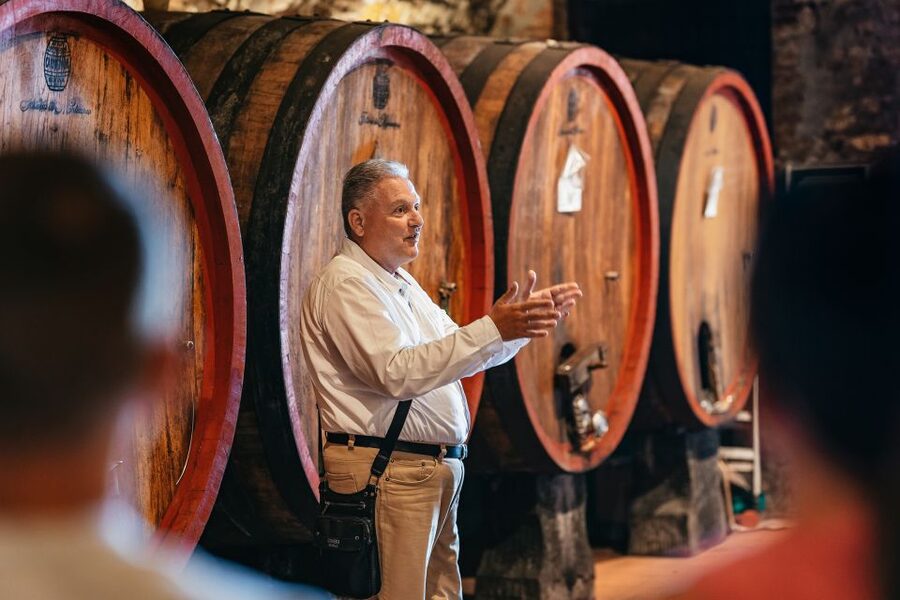 From Florence: Small Group Wine Tasting Tour to Tuscany - What you should expect to taste (and what to watch for)