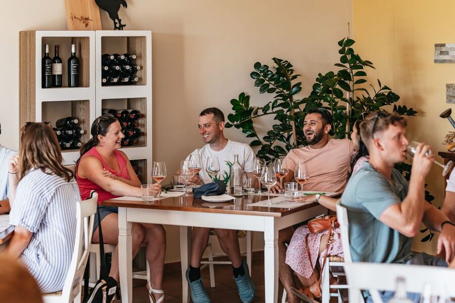 From Florence: Small Group Wine Tasting Tour to Tuscany - The guides and group vibe: why small-group matters