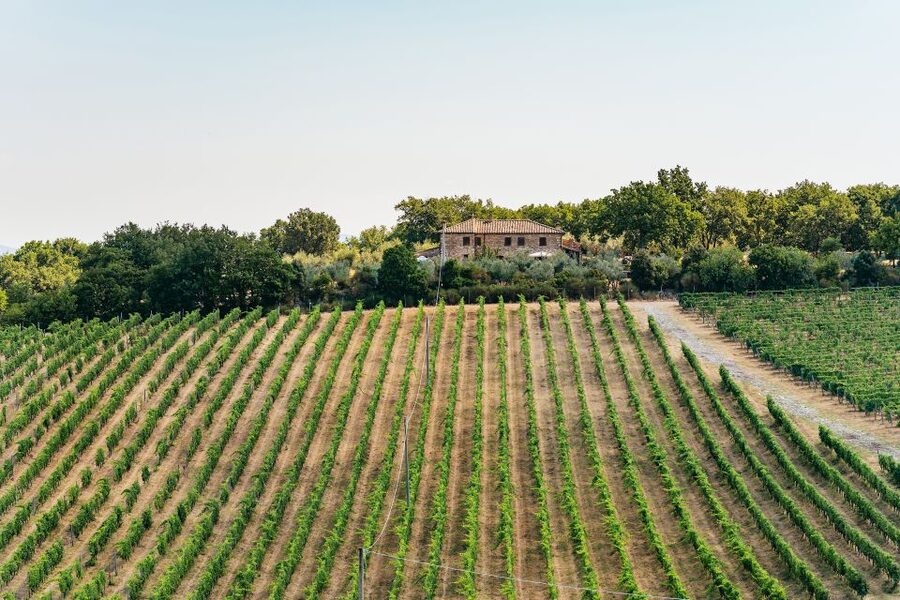 From Florence: Small Group Wine Tasting Tour to Tuscany - Value check: is $105 per person worth it?