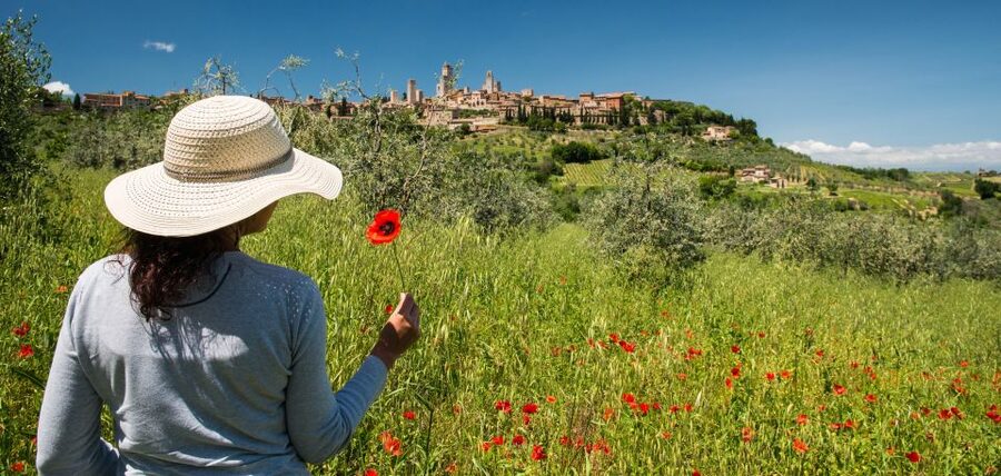 From Florence: Tuscany Highlights Full-Day Tour - The big idea: a full-day Tuscany sweep that actually works