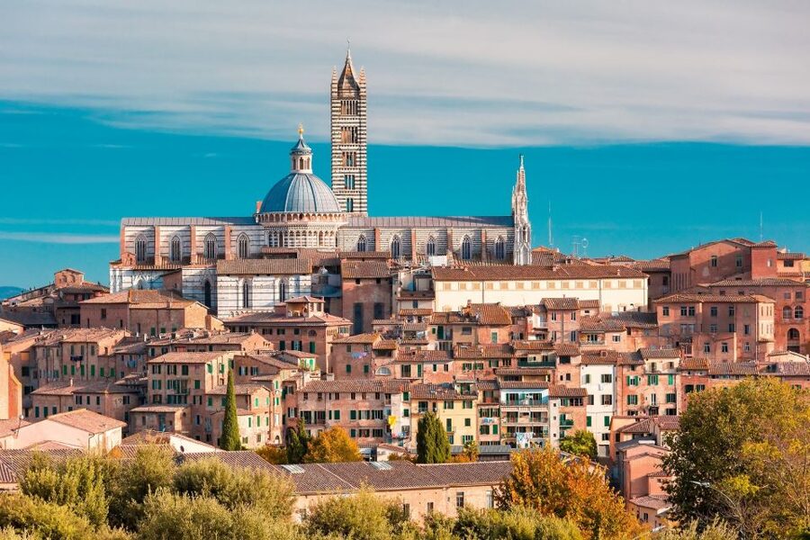 From Florence: Tuscany Highlights Full-Day Tour - Chianti Hills lunch and wine tasting: the break that makes the day