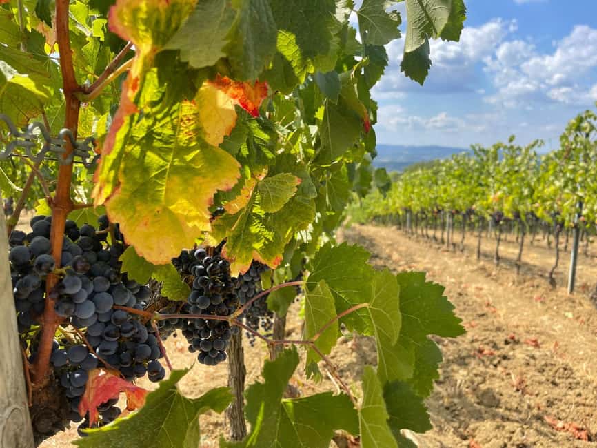 From Florence: Tuscany & San Gimignano Tour with 2 Tastings - The morning ride: Chianti Hills views and the built-in warmup
