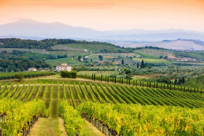 From Florence: Tuscany Wine & Food Tour with Guide - Lunch: What You’ll Eat, How It’s Paired, and Vegetarian Reality Checks