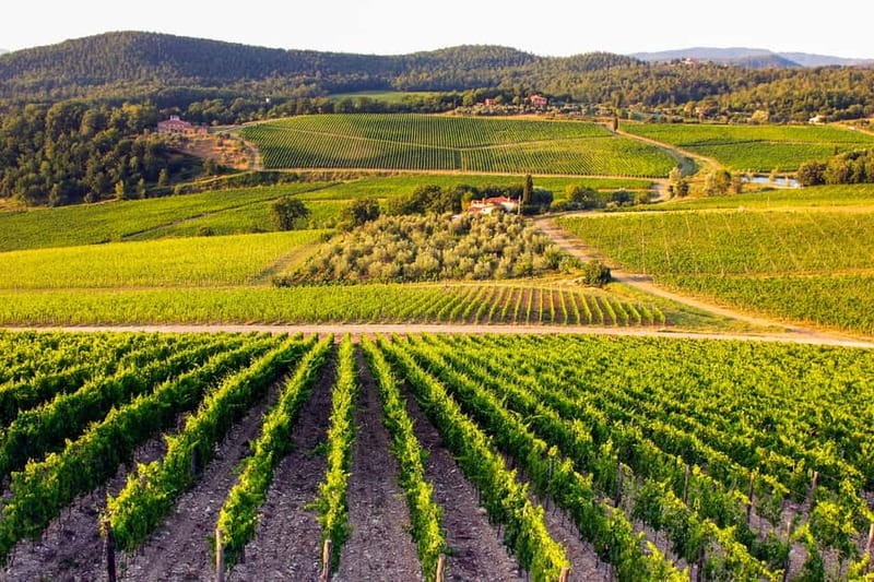 From Florence: Tuscany Wine & Food Tour with Guide - Small Group Size and the Guide Factor: The Difference You Feel