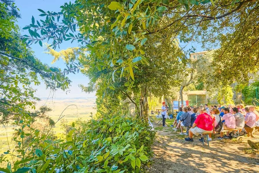 From Florence: Val D'Orcia Tour with Wine Tasting - Should You Book This Val d’Orcia Wine Tasting Day Trip?