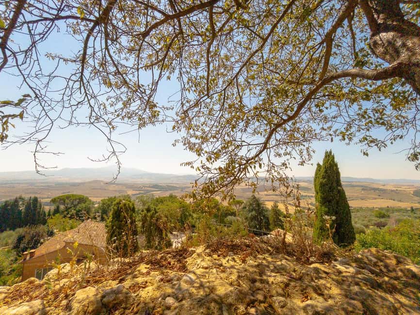 From Florence: Val D'Orcia Tour with Wine Tasting - Florence to Val d’Orcia: Start Easy, Then Let the Hills Do the Work