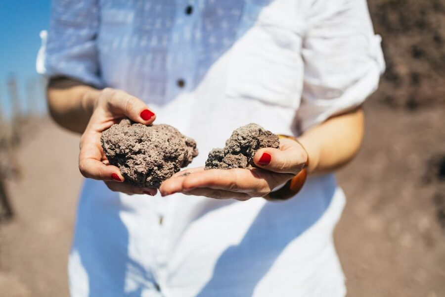 From Naples: All-Inclusive Mount Vesuvius Half-Day Tour - Who should think twice
