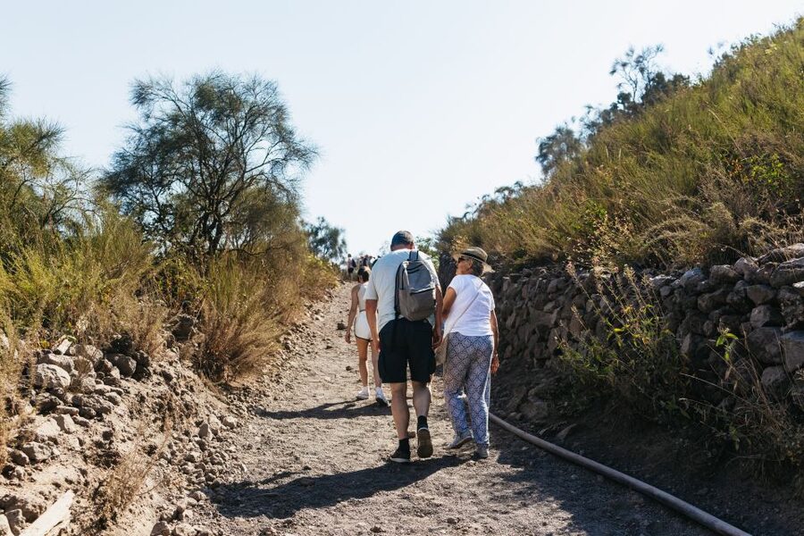 From Naples: All-Inclusive Mount Vesuvius Half-Day Tour - Bay of Naples viewpoints: timing, wind, and photo strategy