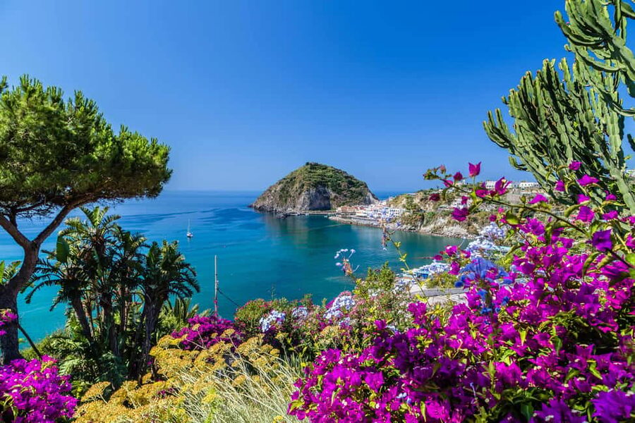 From Naples: Amalfi Coast Day Trip with Sorrento & Positano - Meeting in Naples: the 8:30 plan and how to avoid stress