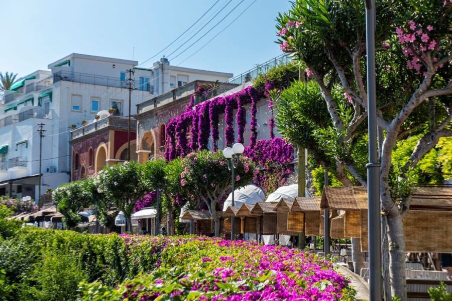 From Naples: Capri, Anacapri, and Blue Grotto Full-Day Trip - Timing and pacing in a 9-hour day