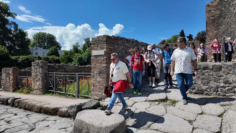 From Naples: Guided tour of Pompeii skip-the-line and round-trip train - Key highlights you should care about
