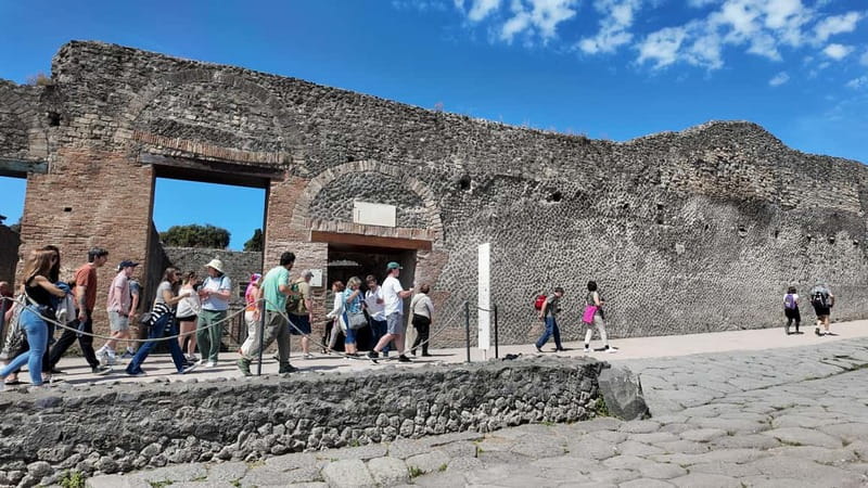 From Naples: Guided tour of Pompeii skip-the-line and round-trip train - Who this Pompeii day trip is perfect for