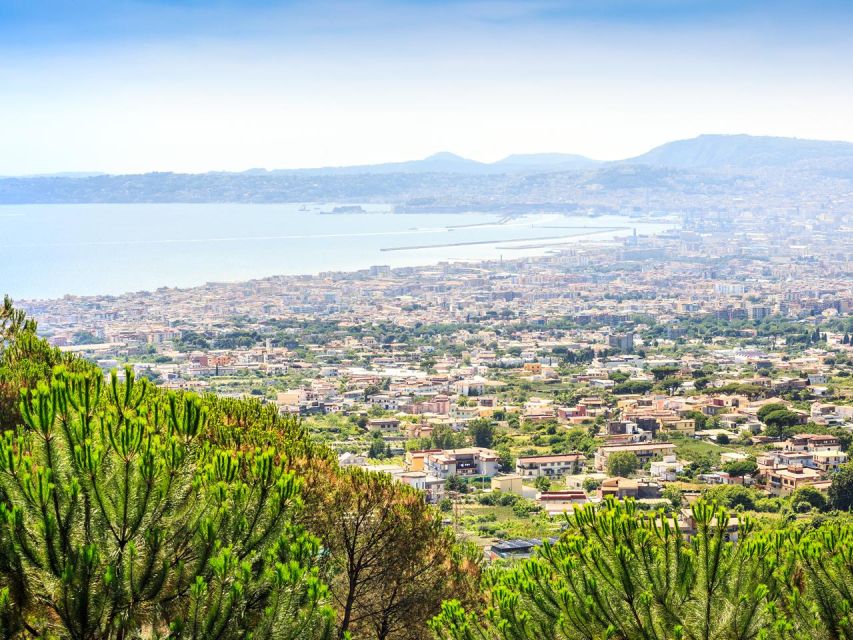 From Naples: Mount Vesuvius Transfer with Entry Tickets - Key Things That Make This Vesuvius Transfer Work Well