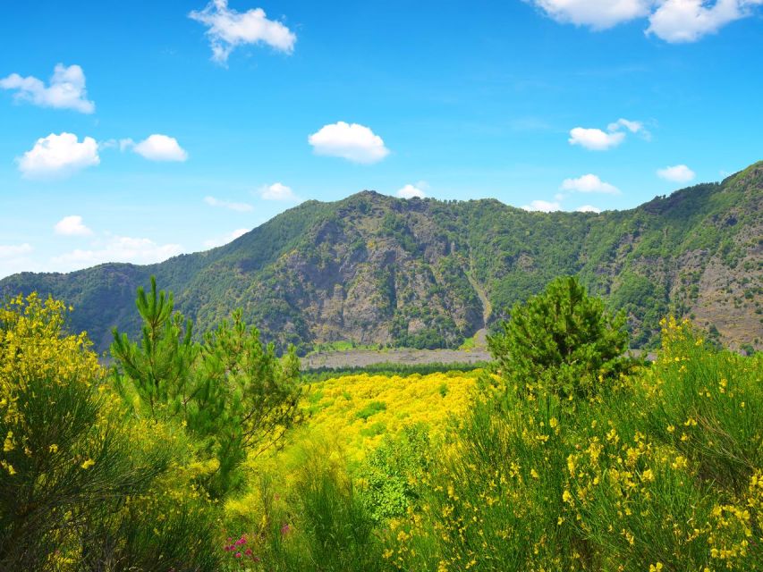From Naples: Mount Vesuvius Transfer with Entry Tickets - Price and Value: Is $51.24 a Smart Deal?