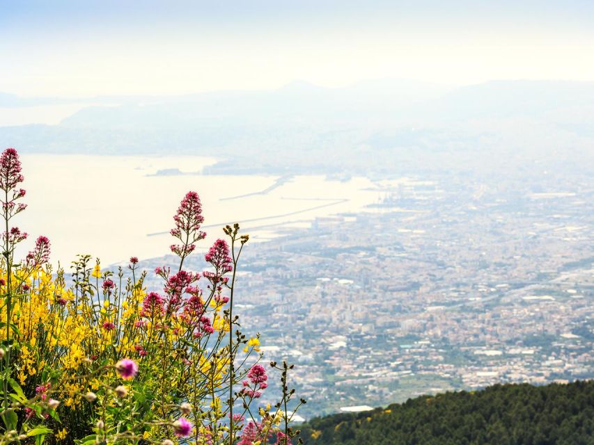 From Naples: Mount Vesuvius Transfer with Entry Tickets - Who This Day Trip Suits Best (And Who Might Feel Rushed)