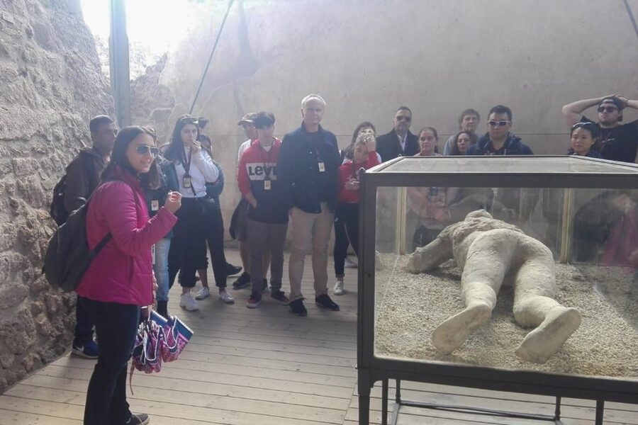 From Naples: Pompeii and Herculaneum Tour with Lunch - Who Should Book This Tour, and Who Might Skip It