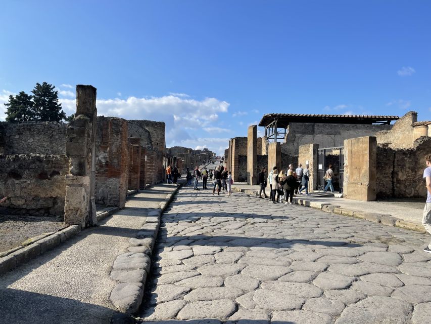 From Naples: Pompeii Guided Tour with Skip-the-Line Tickets - Van logistics in an air-conditioned ride (and how not to lose time)