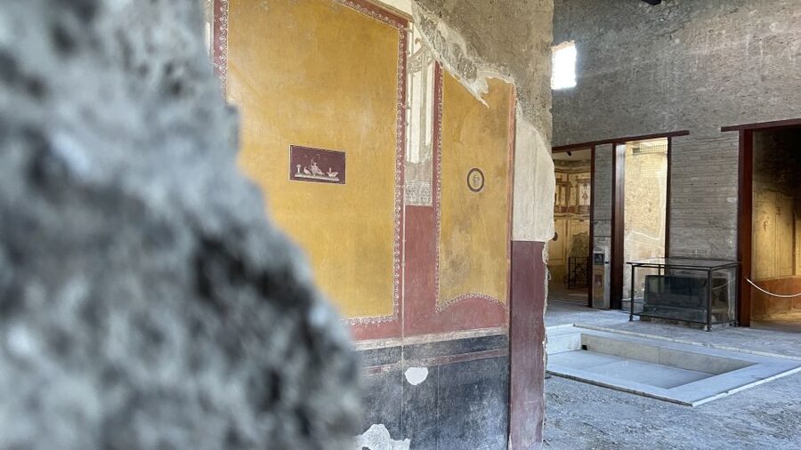 From Naples: Pompeii Guided Tour with Skip-the-Line Tickets - Pompeii street life: bakery stops and housing blocks