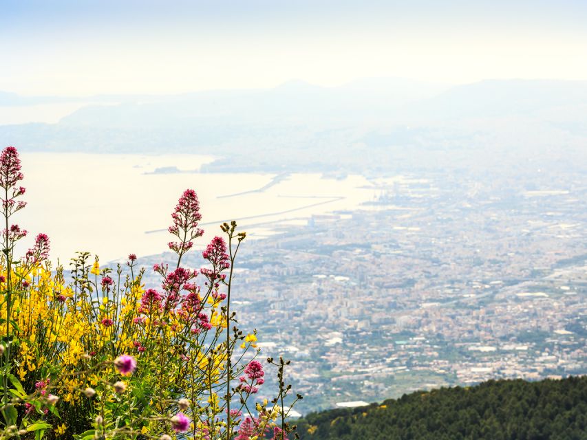 From Naples: Pompeii, Herculaneum, & Vesuvius Full-Day Tour - Pompeii Archaeological Site: use your audio guide map to avoid wandering