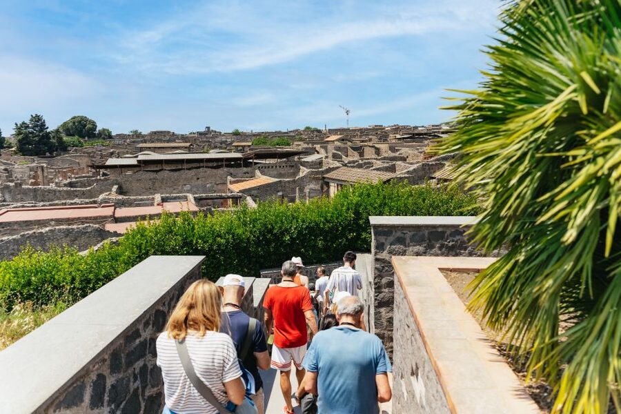 From Naples: Pompeii Ruins & Mount Vesuvius Day Tour - Mount Vesuvius: the hike to the crater edge and Bay of Naples views