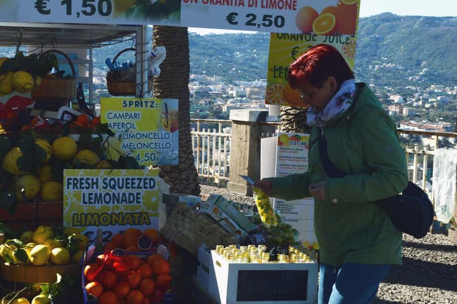 From Naples/Salerno: Group Tour to Positano, Amalfi, Ravello - Who this Amalfi Coast group tour fits best