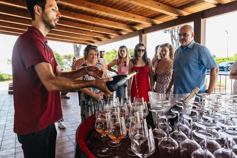 From Naples: Wine Tasting Tour on Vesuvius Slopes with Lunch - Wine tasting on the terrace: tasting notes you can build on
