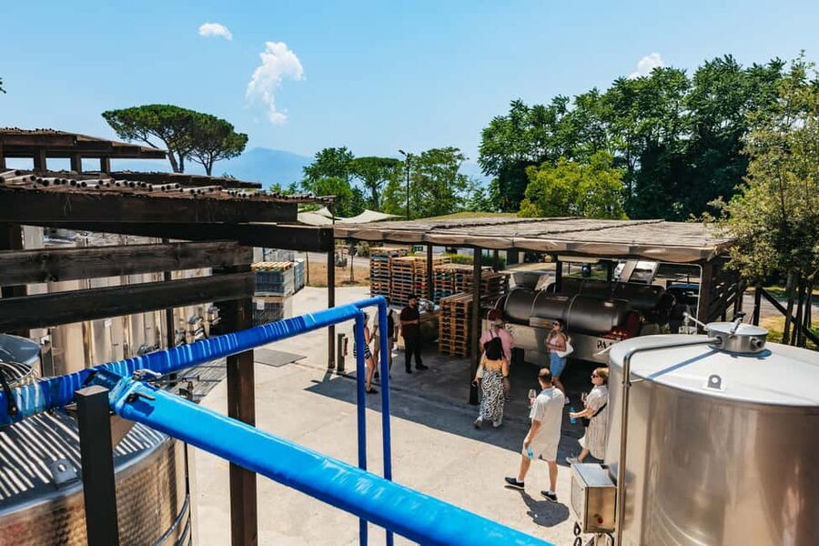 From Naples: Wine Tasting Tour on Vesuvius Slopes with Lunch - Guides and drivers: what makes the day feel personal