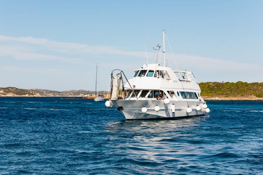 From Palau: La Maddalena Islands Full-Day Trip by Boat - Timing, weather, and the reality of reboarding on a busy island day
