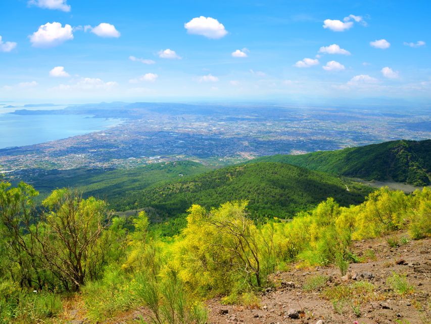 From Pompeii: Bus Transfer to Vesuvius with Park Entry Fee - Key things I noticed on this Pompeii to Vesuvius transfer