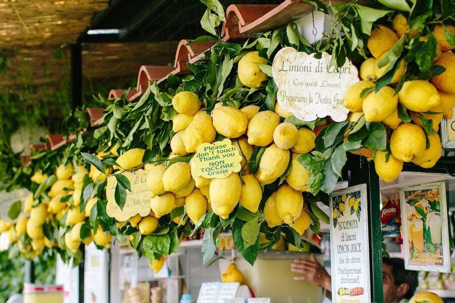 From Positano: Sorrento Coast & Capri Full-Day Trip by Boat - Sea Caves and Signature Formations: Marvelous, White, Green, and More